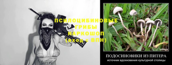 круглые Богданович